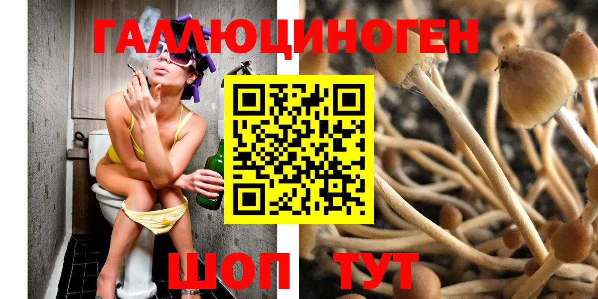 Псилоцибиновые грибы Cubensis Большой Камень