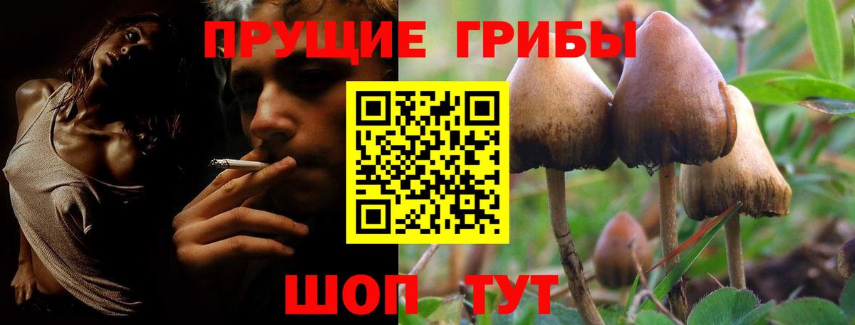 Псилоцибиновые грибы Psilocybe  Псилоцибиновые грибы мицелий  Большой Камень  Вход с VPN 